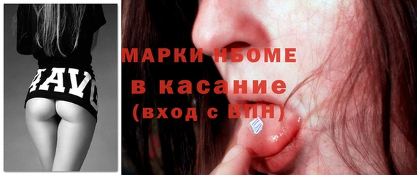индика Армянск