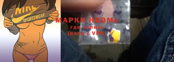 индика Армянск