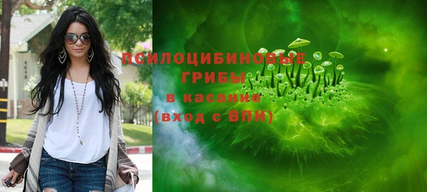 эйфоретик Алзамай