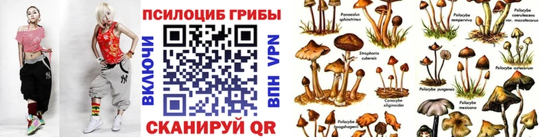 Купить закладки Суоярви Галлюциногенные грибы GOLDEN TEACHER